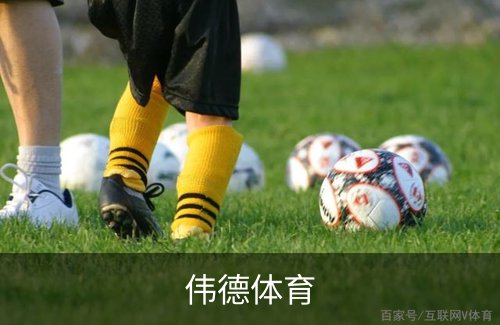 伟德体育简介